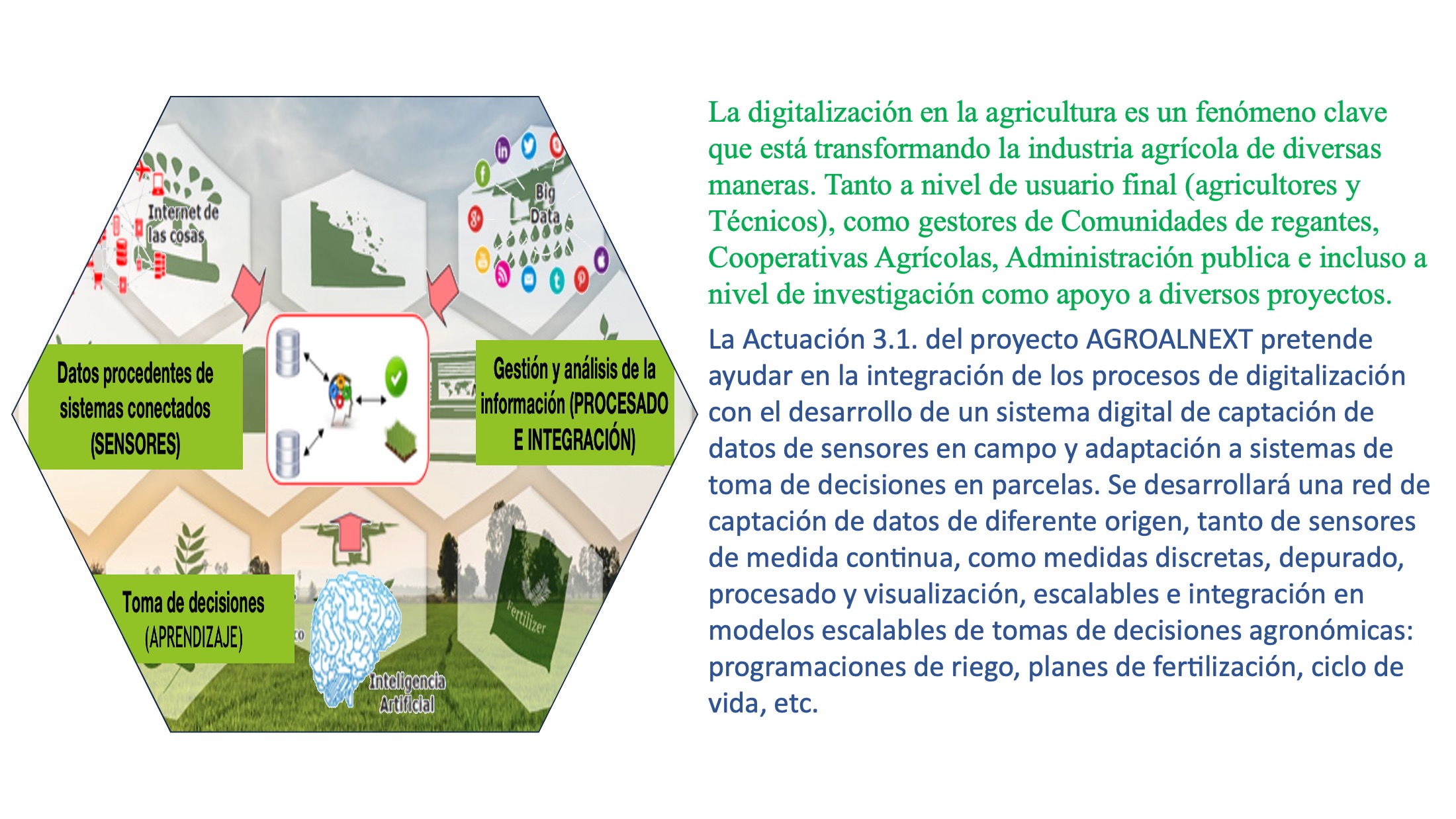 AGROALNEXT%20WEB%20act3.1